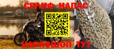 сатива Заводоуковск