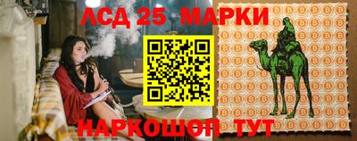 скорость Заволжье