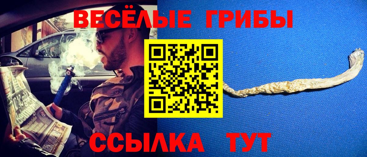 где купить наркоту  Вход с VPN  Красноярск  Псилоцибиновые грибы Psilocybe  Галлюциногенные грибы прущие грибы 
